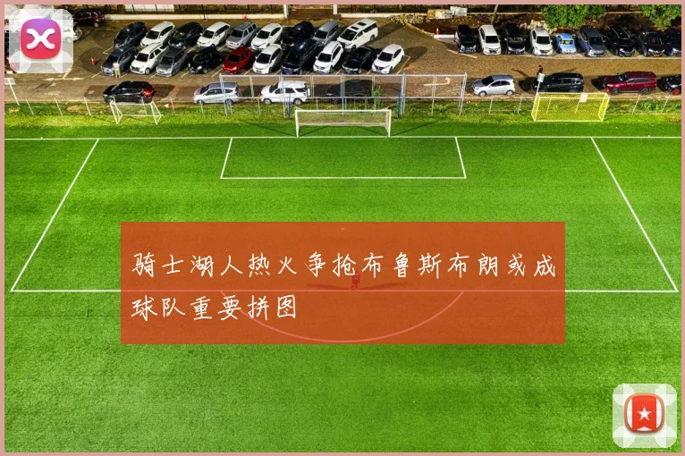 骑士湖人热火争抢布鲁斯布朗或成球队重要拼图